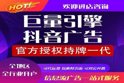 案例研究：信息流广告投放优化